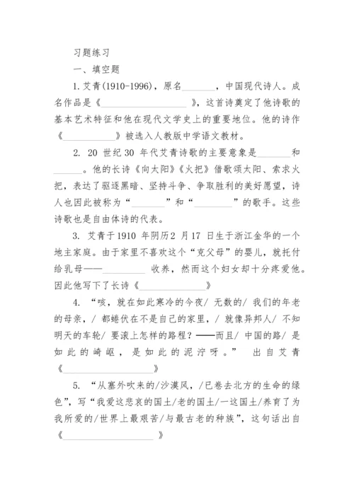 艾青诗选中考知识点整理最新.docx