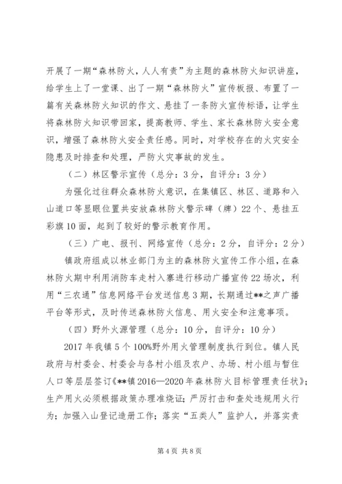 乡镇森林防火目标管理责任自检自查报告.docx