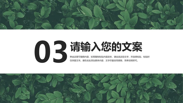 绿色清新简约风月度总结PPT模板