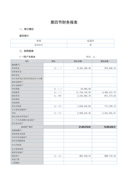 科技股份有限公司半年度报告模板.docx