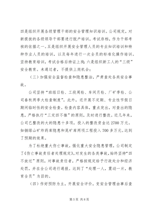 国有大型铜业联合企业安全工作汇报.docx