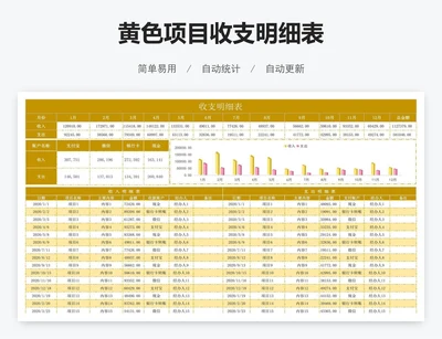 黄色项目收支明细表