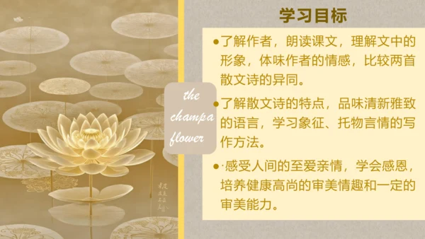 7《散文诗二首——金色花》课件