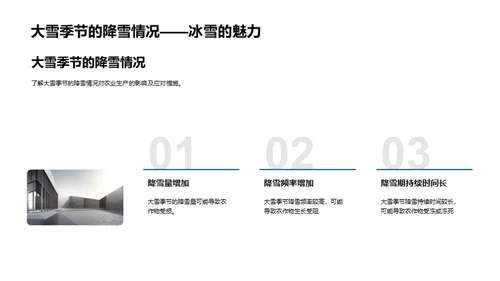 农业抗雪攻略