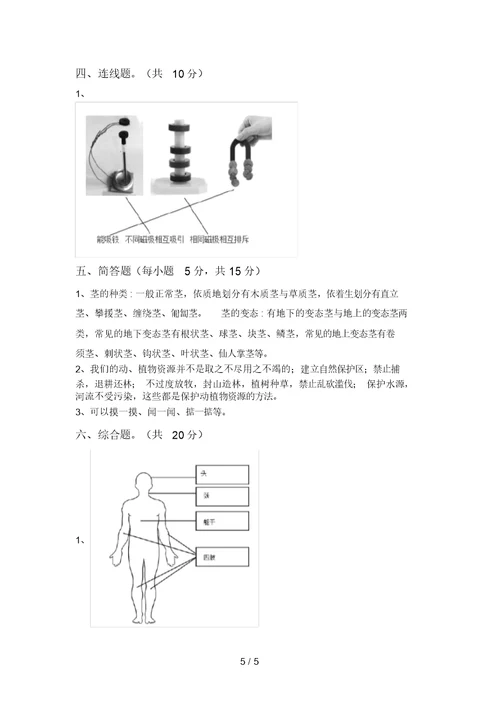 青岛版二年级科学上册期中考试(新版)