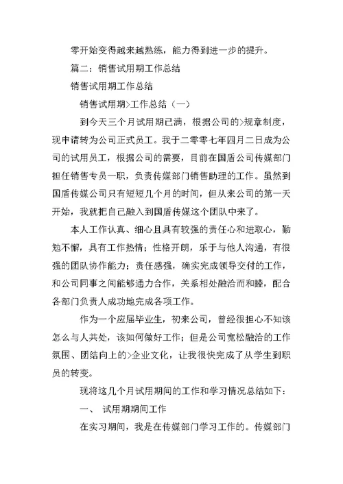 网络销售试用期工作总结