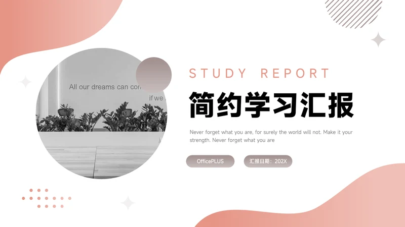粉色大气简约学习汇报PPT模板
