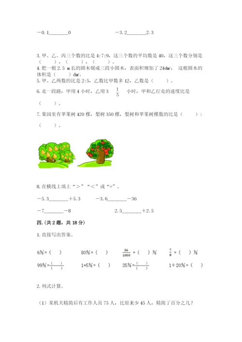 小学六年级数学毕业试题精品（夺冠系列）.docx