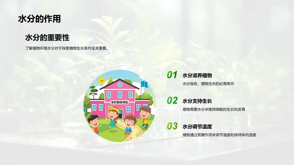 探秘植物生长