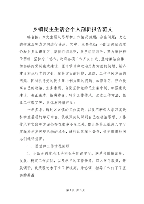 乡镇民主生活会个人剖析报告范文.docx