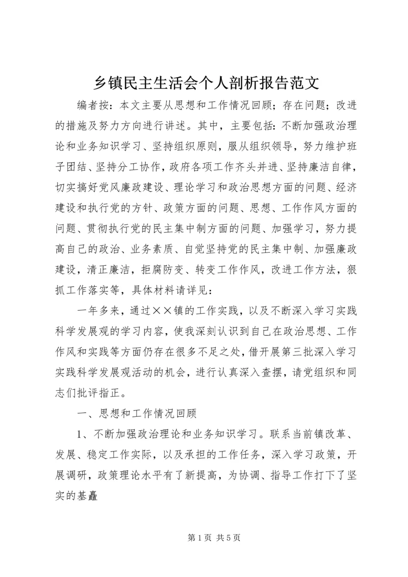 乡镇民主生活会个人剖析报告范文.docx