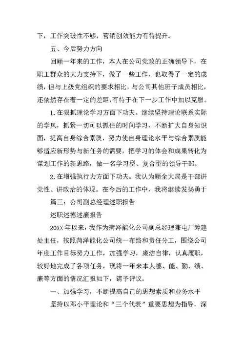 副总经理的述职报告
