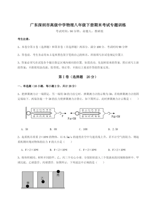 专题对点练习广东深圳市高级中学物理八年级下册期末考试专题训练试卷（解析版含答案）.docx