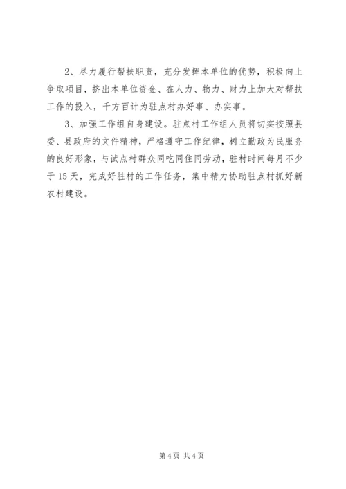科技局蹲村工作计划.docx