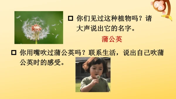 3 植物妈妈有办法  课件