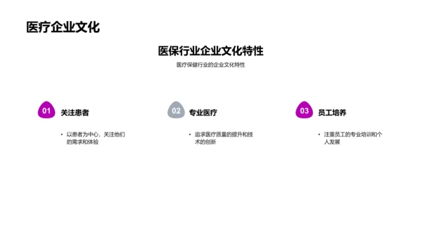 医保业企业文化实践PPT模板