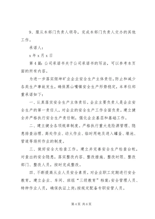 公司承诺书（共5篇）.docx