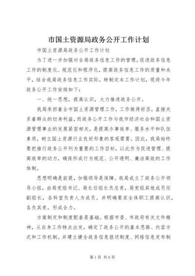 市国土资源局政务公开工作计划.docx