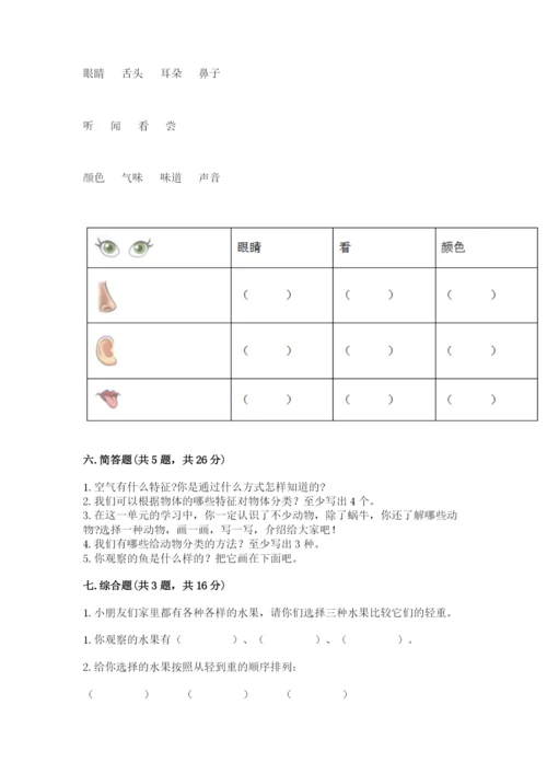 教科版小学科学一年级下册期末测试卷及完整答案【夺冠系列】.docx