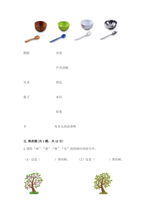 教科版科学二年级上册期末测试卷带答案（培优a卷）.docx