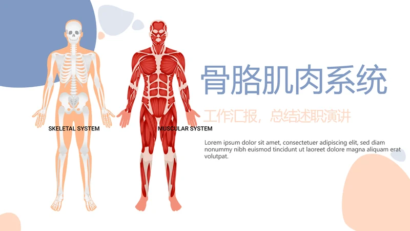 简约医疗骨骼肌肉系统动态PPT