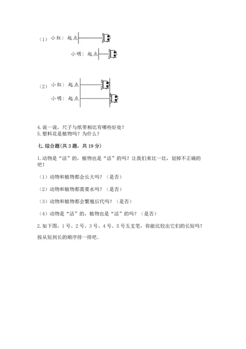 教科版一年级上册科学期末测试卷及答案【夺冠】.docx