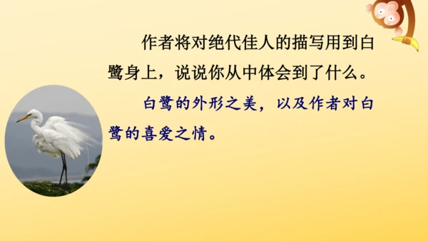 1 白鹭   课件