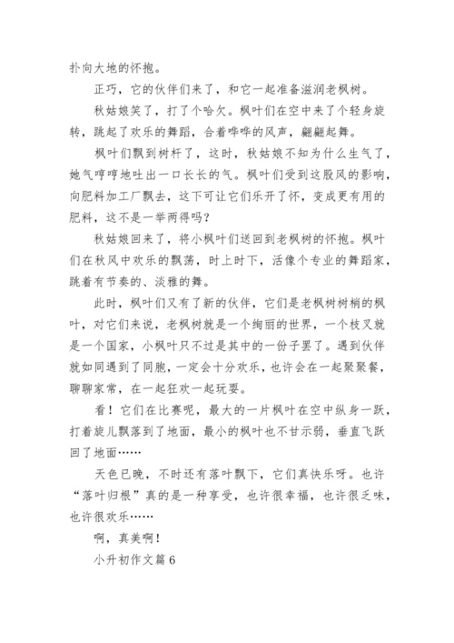 小升初作文范文精选10篇.docx