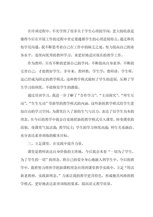 中小学教师网络培训个人总结