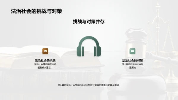 法治社会深度解析