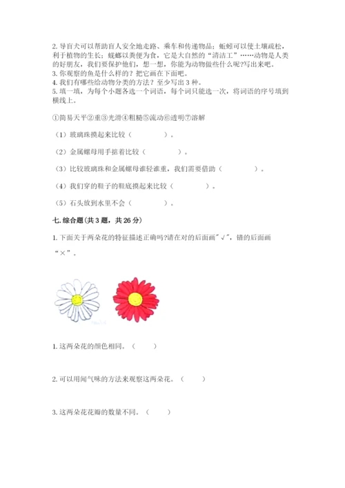 教科版小学科学一年级下册期末测试卷及参考答案【综合卷】.docx