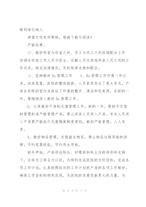 20XX年医院产科工作计划范文.docx