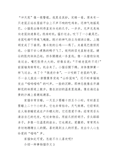介绍一种事物猫五年级作文5篇.docx
