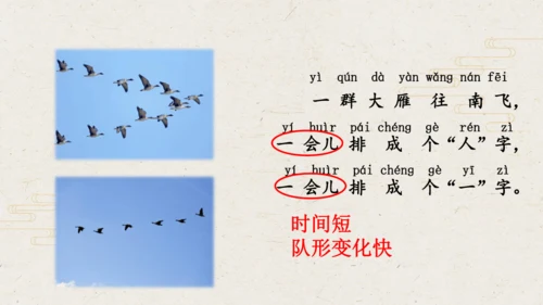 课文1 秋天  课件