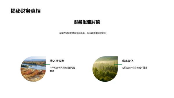 绿色农业：半年进展