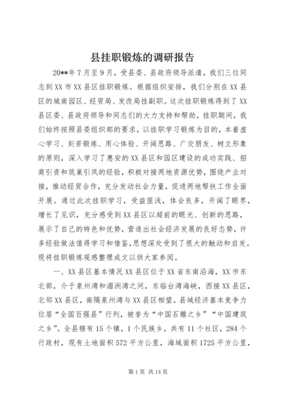 县挂职锻炼的调研报告.docx