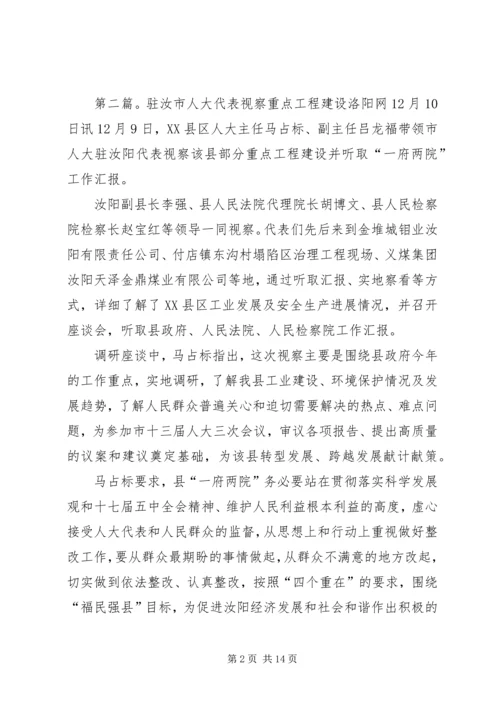 人大代表视察双谊工业园区建设.docx