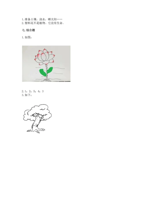 教科版科学一年级上册第一单元《植物》测试卷附完整答案【精选题】.docx