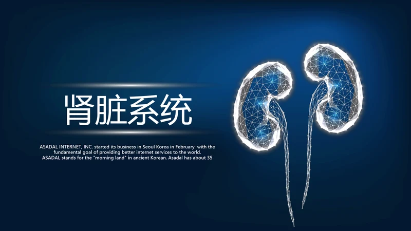 蓝色医疗医学肾脏系统动态PPT