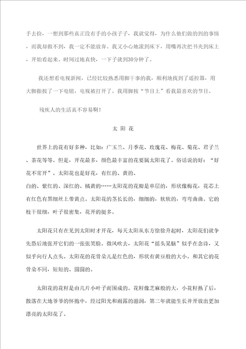 苏教版四年级下册习作二雏鹰争章作文