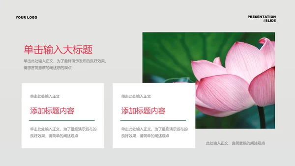 粉绿色清新风总结汇报PPT演示模板