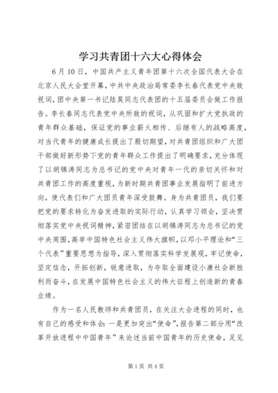 学习共青团十六大心得体会 (2).docx