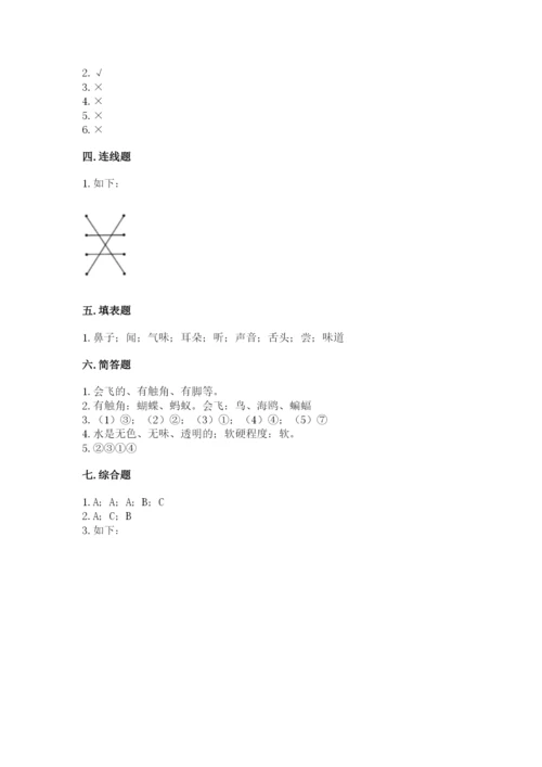 教科版一年级下册科学期末测试卷及参考答案1套.docx