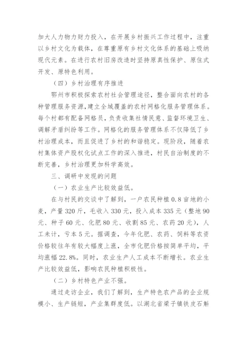 2022年实施乡村振兴战略研究论文报告.docx