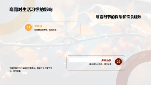 探索寒露节气