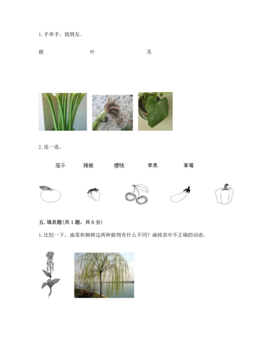 教科版科学一年级上册第一单元《植物》测试卷附参考答案（模拟题）.docx