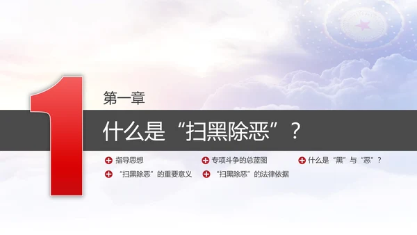 扫黑除恶专项斗争应知应会PPT课件
