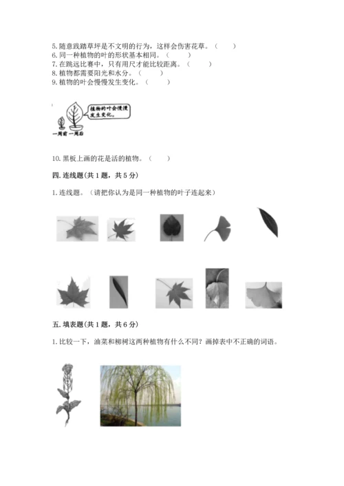 教科版小学一年级上册科学期末测试卷附完整答案【全国通用】.docx