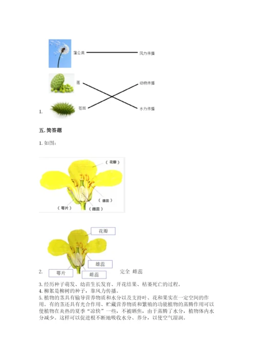 科学四年级下册第一单元《植物的生长变化》测试卷【考点精练】.docx