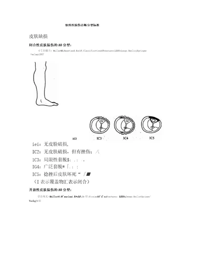 软组织损伤诊断分型标准